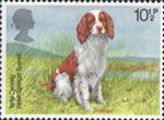 Dogs 10.5p Stamp (1979) Welsh Springer Spaniel