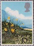 British Flowers 10.5p Stamp (1979) Daffodil