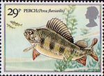 British River Fishes 29p Stamp (1983) Eurasion Perch