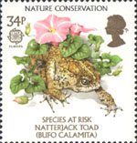 Nature Conservation - Species At Risk 34p Stamp (1986) Natterjack Toad