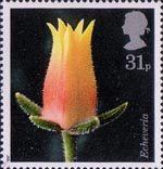 Flowers 31p Stamp (1987) Echeveria