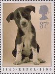 RSPCA 37p Stamp (1990) Puppy