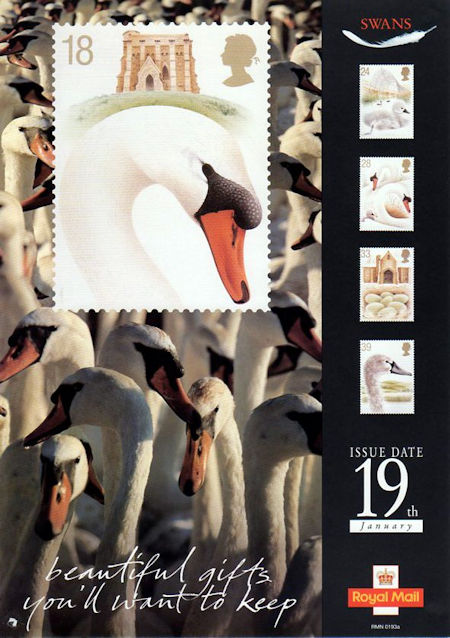 Swans (1993)