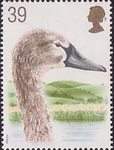 Swans 39p Stamp (1993) Young Swan and the Fleet