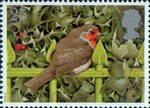 Christmas 1995 25p Stamp (1995) European Robin on Railings and Holly