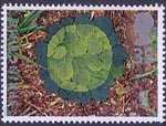 The Four Seasons. Springtime 35p Stamp (1995) Hazel Leaves