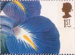 Greetings - Flowers 1st Stamp (1997) Iris latifolia (Ehret)