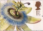Greetings - Flowers 1st Stamp (1997) Passiflora  coerulea (Ehret)