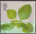 Millennium Projects (4th Series). 'Life and Earth' 64p Stamp (2000) Hydroponic Leaves (Project SUZY, Teeside)