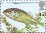 Europa. Pond Life 45p Stamp (2001) Three-spined Stickleback