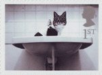 Cats and Dogs 1st Stamp (2001) Cat in Washbasin