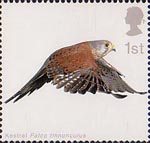 Birds of Prey 1st Stamp (2003) Kestrel with Wings partly extended downwards