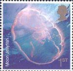 Sea Life 1st Stamp (2007) Moon Jellyfish