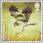 Birds 1st Stamp (2007) Marsh Harrier