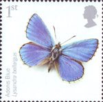 Insects 1st Stamp (2008) Adonis Blue Butterfly