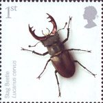 Insects 1st Stamp (2008) Stag Beetle