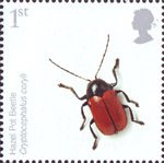 Insects 1st Stamp (2008) Hazel Pot Beetle