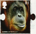 Charles Darwin 81p Stamp (2009) Anthropology