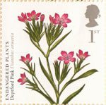 Plants 1st Stamp (2009) Deptford Pink