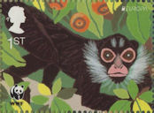 World Wildlife Fund 1st Stamp (2011) Spider Money