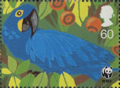 World Wildlife Fund 60p Stamp (2011) Hyancinth Macaw
