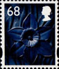 New Tariff - Regional Definitives 68p Stamp (2011) Daffodil
