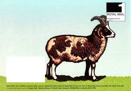 Reverse for Post   Go - British Farm Animals I - Sheep