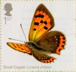 Butterflies 1st Stamp (2013) Small Copper