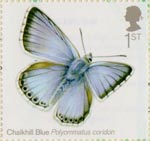 Butterflies 1st Stamp (2013) Chalkhill Blue