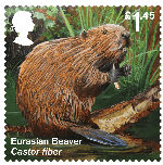 Reintroduced Species £1.45 Stamp (2018) Eurasian Beaver