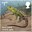 £1.55, Sand Lizard from Reintroduced Species (2018)