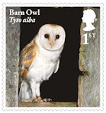 Owls 1st Stamp (2018) Barn Owl