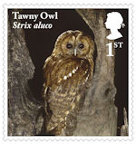 Owls 1st Stamp (2018) Tawny Owl