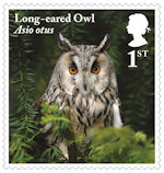 Owls 1st Stamp (2018) Long-eared Owl