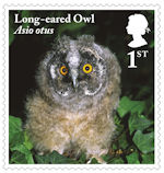 Owls 1st Stamp (2018) Long-eared Owl, juvenile