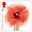 1st, 100 Poppies, Z and B Baran from The First World War - 1918 (2018)