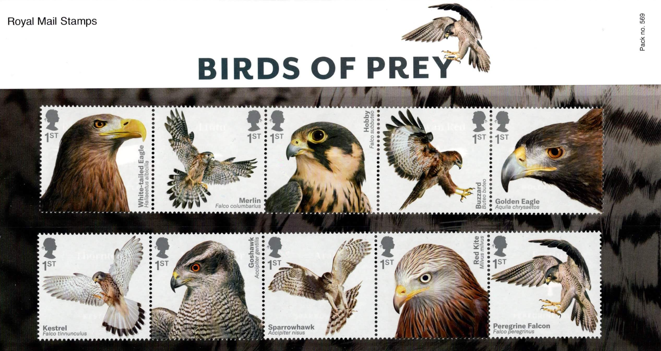 Birds Of Prey (UK 2019)