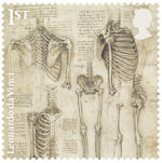 Leonardo da Vinci 1st Stamp (2019) The skeleton