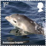 Wild Coasts 1st Stamp (2021) Bottlenose Dolphin
