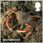 Wild Coasts 1st Stamp (2021) Spiny Spider Crab