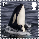 Wild Coasts 1st Stamp (2021) Orca