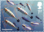 Wild Coasts 1st Stamp (2021) Zooplankton