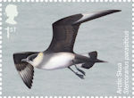 Migratory Birds 1st Stamp (2022) Arctic Skua, Stercorarius parasiticus