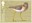 1st, Stone-curlew, Burhinus oedicnemus from Migratory Birds (2022)