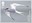 1st, Arctic Tern, Sterna paradisaea from Migratory Birds (2022)