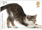 Cats £2.55 Stamp (2022) Tabby-and-white stretching