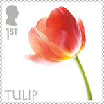 Flowers 1st Stamp (2023) Tulip