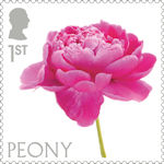 Flowers 1st Stamp (2023) Peony