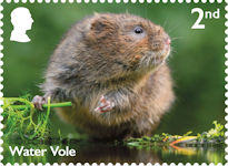 River Wildlife 2nd Stamp (2023) Water Vole