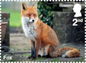 Garden Wildlife 2nd Stamp (2025) Fox